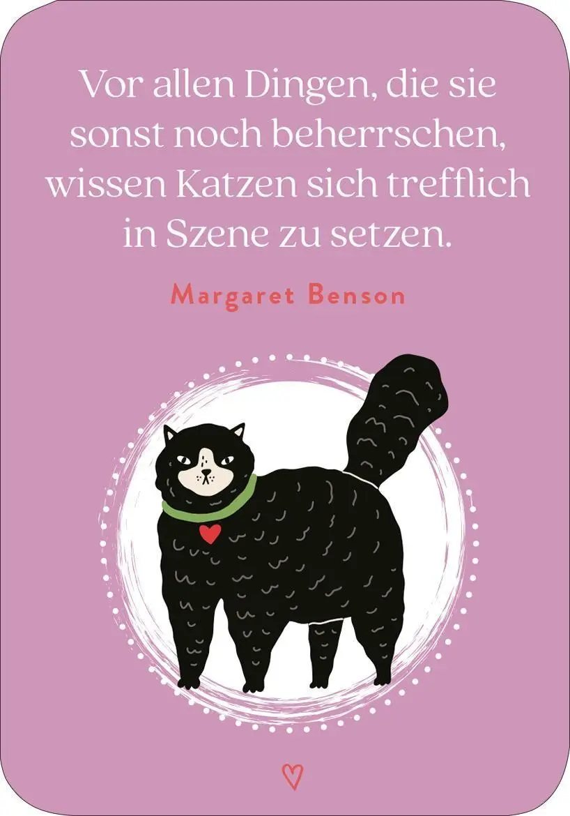 Bild: 9783845869445 | MIEZNachrichten für jede Lebenslage | 50 Karten für dich | Taschenbuch
