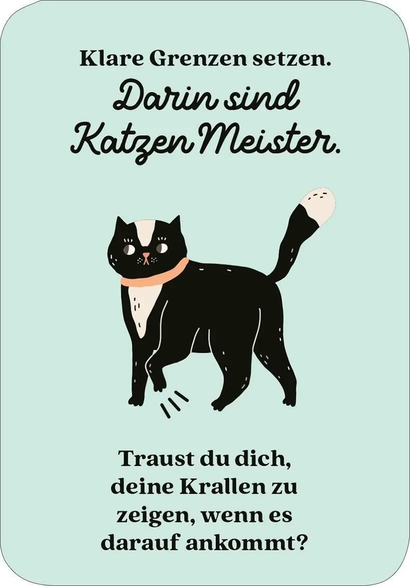 Bild: 9783845869445 | MIEZNachrichten für jede Lebenslage | 50 Karten für dich | Taschenbuch
