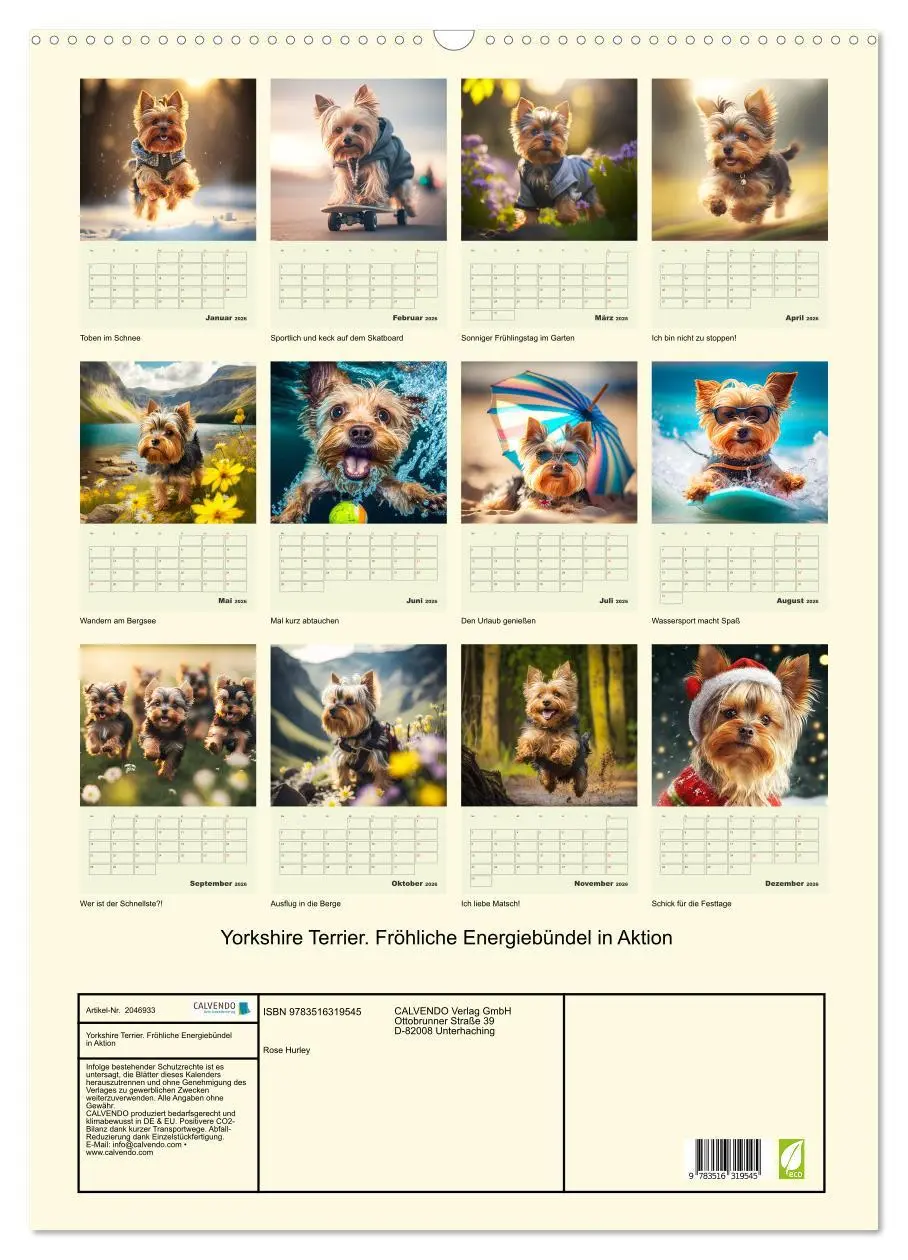 Bild: 9783516319545 | Yorkshire Terrier. Fröhliche Energiebündel in Aktion (Wandkalender...