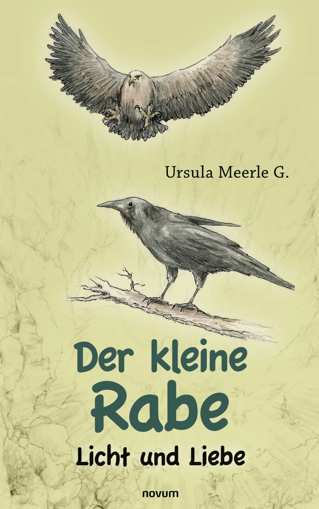 Cover: 9783991079545 | Der kleine Rabe | Licht und Liebe | Ursula Meerle G. | Taschenbuch