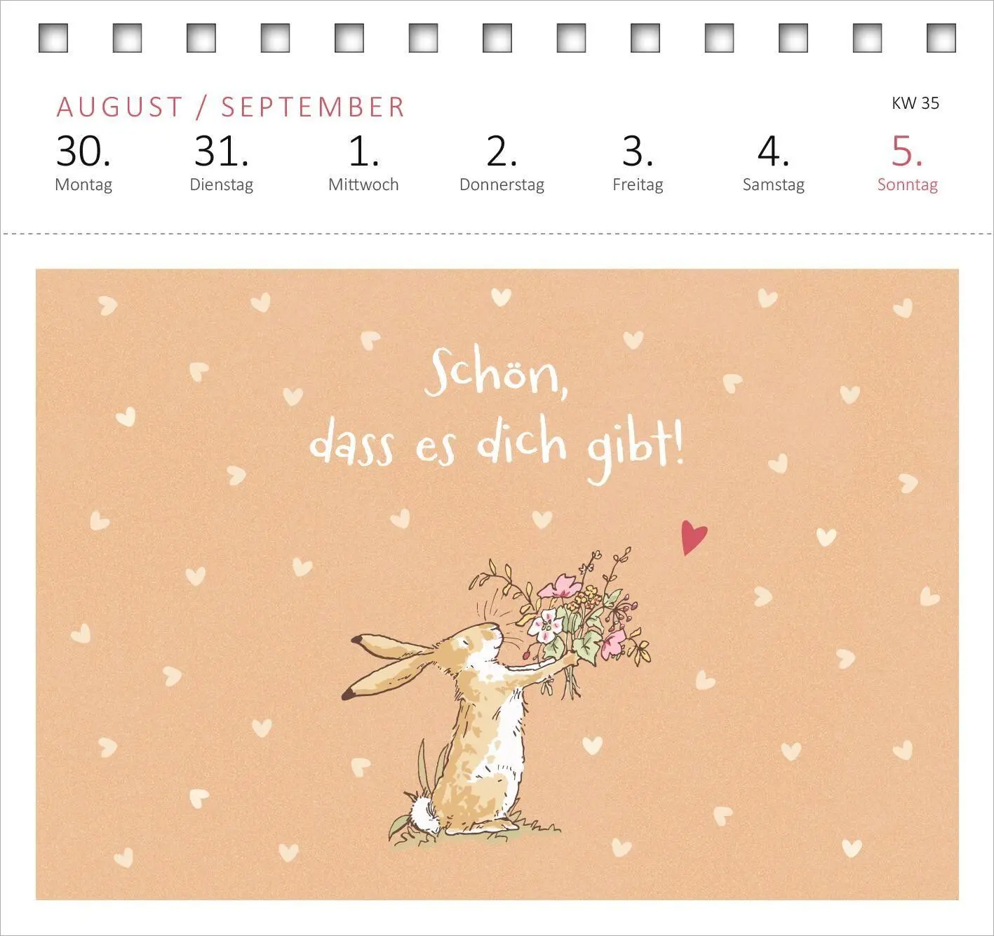 Bild: 4014489139645 | Postkartenkalender Weißt du eigentlich, wie lieb ich dich hab? 2027