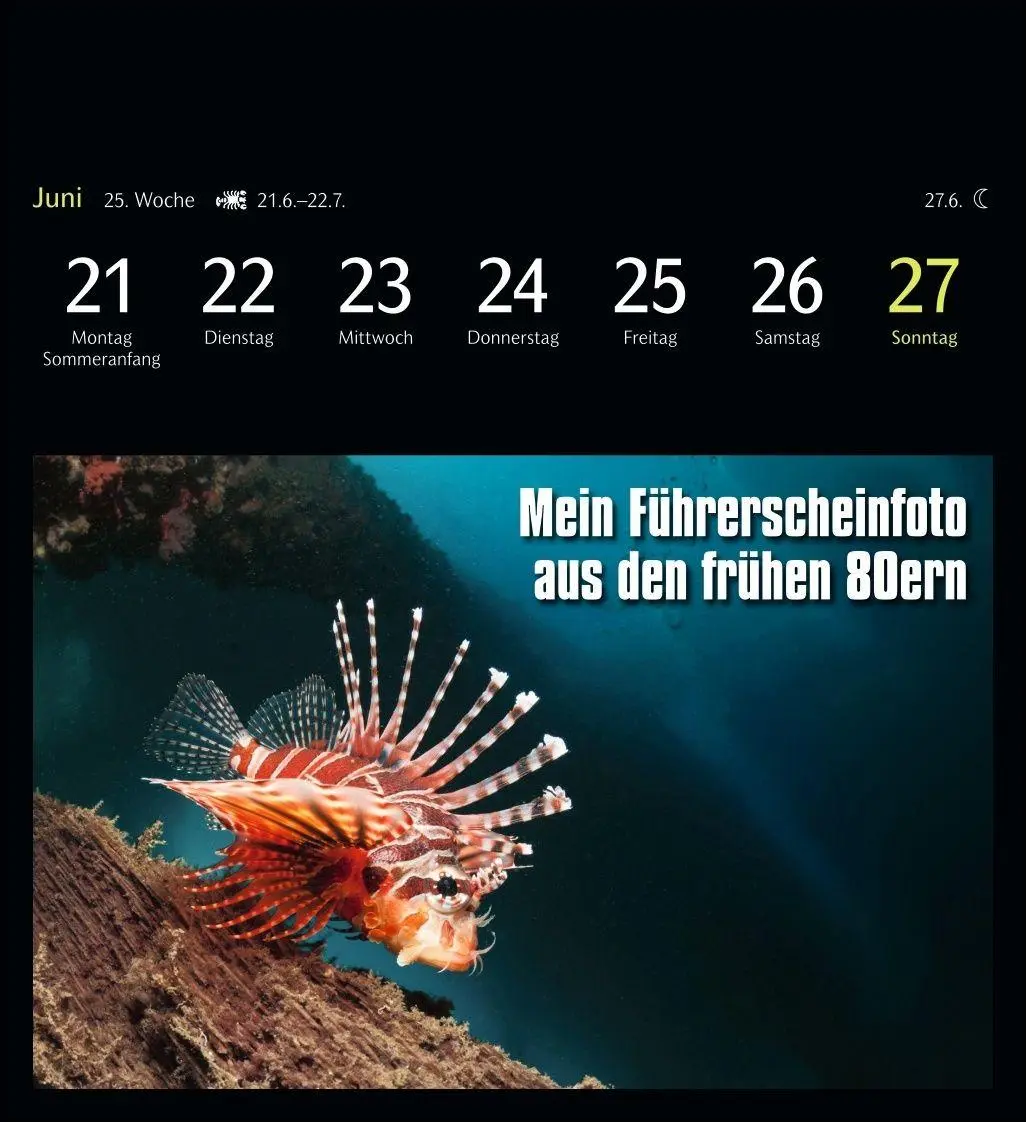 Bild: 9783840039645 | Animal Memes Postkartenkalender 2027 - 53 tierisch witzige Postkarten