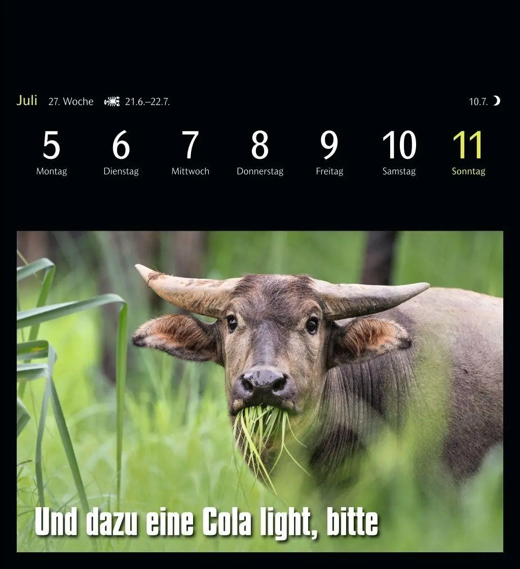 Bild: 9783840039645 | Animal Memes Postkartenkalender 2027 - 53 tierisch witzige Postkarten