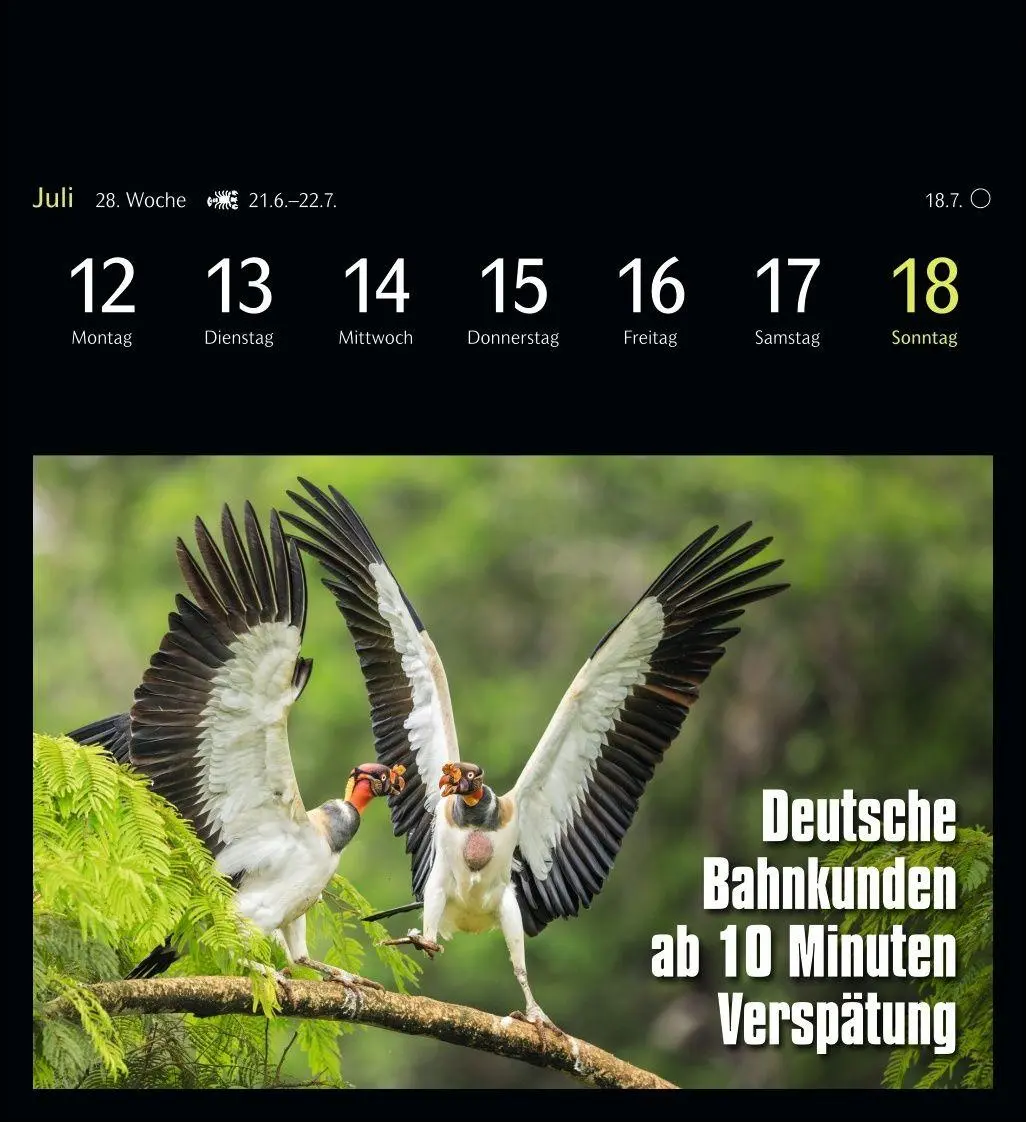 Bild: 9783840039645 | Animal Memes Postkartenkalender 2027 - 53 tierisch witzige Postkarten