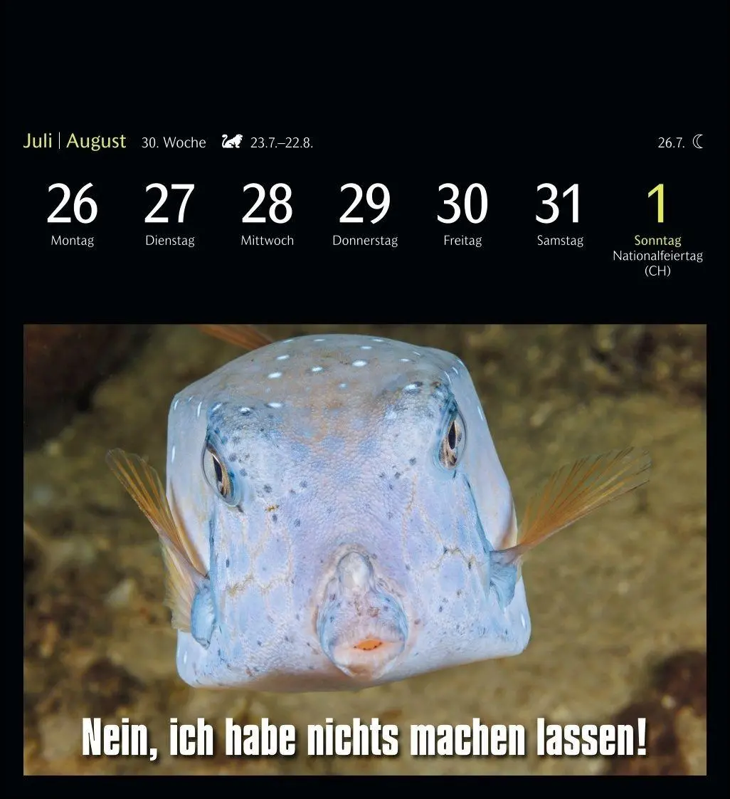 Bild: 9783840039645 | Animal Memes Postkartenkalender 2027 - 53 tierisch witzige Postkarten