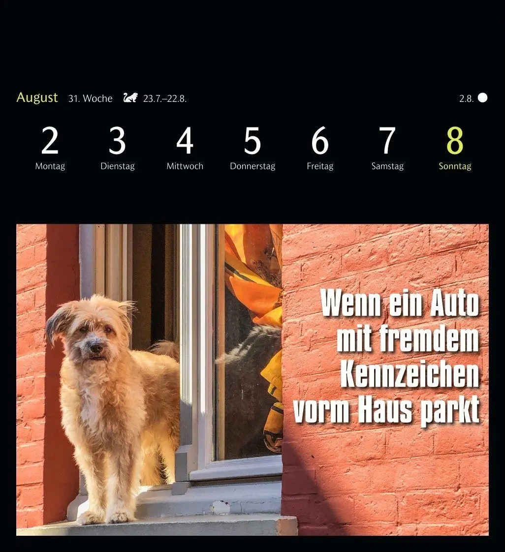 Bild: 9783840039645 | Animal Memes Postkartenkalender 2027 - 53 tierisch witzige Postkarten