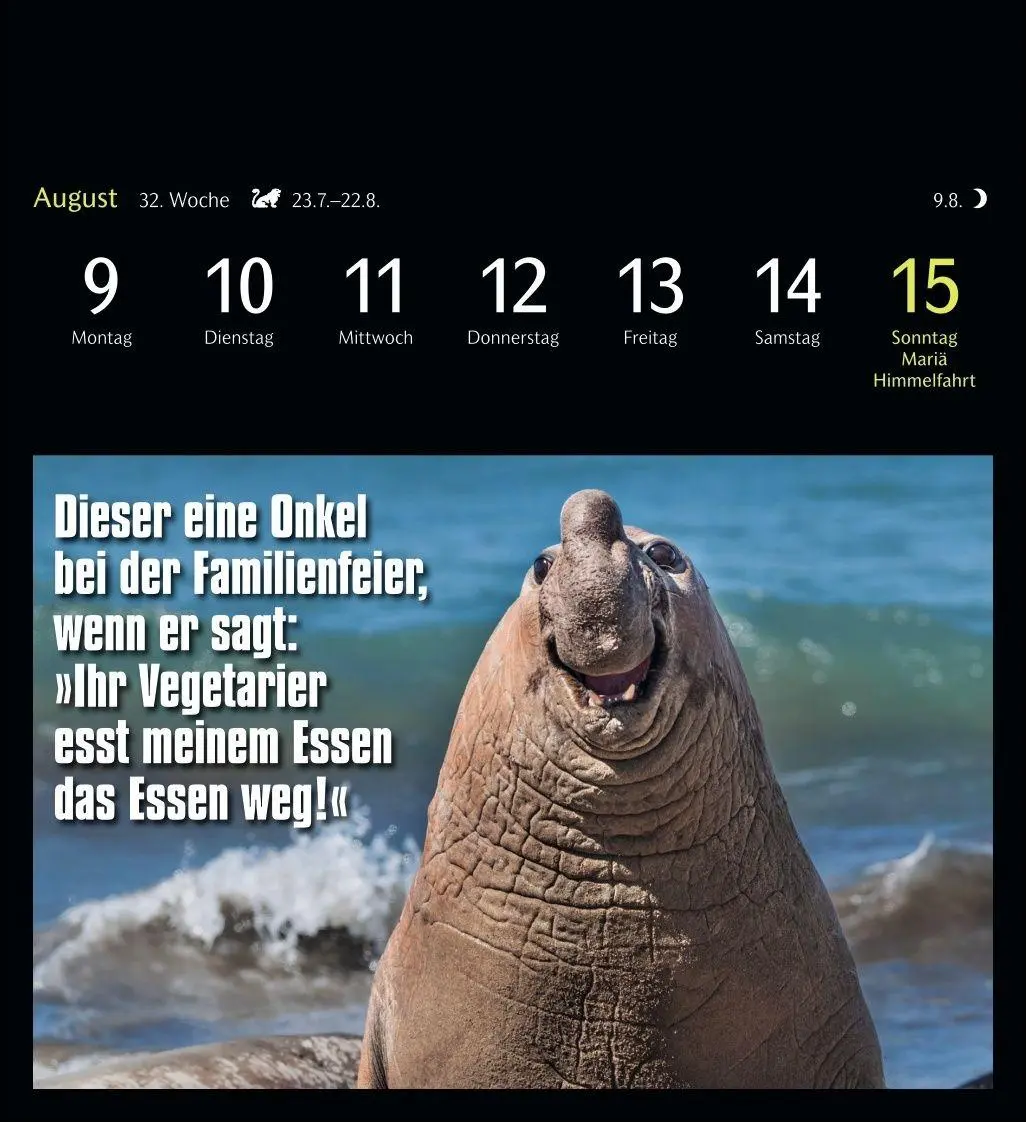 Bild: 9783840039645 | Animal Memes Postkartenkalender 2027 - 53 tierisch witzige Postkarten