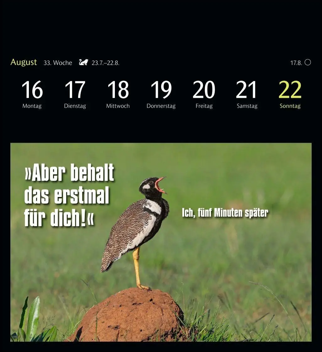 Bild: 9783840039645 | Animal Memes Postkartenkalender 2027 - 53 tierisch witzige Postkarten