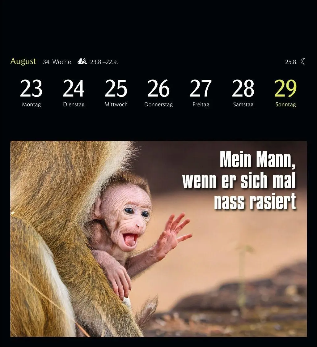 Bild: 9783840039645 | Animal Memes Postkartenkalender 2027 - 53 tierisch witzige Postkarten