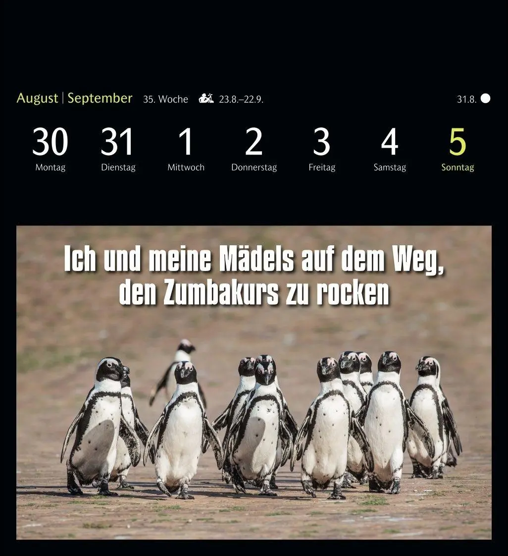 Bild: 9783840039645 | Animal Memes Postkartenkalender 2027 - 53 tierisch witzige Postkarten
