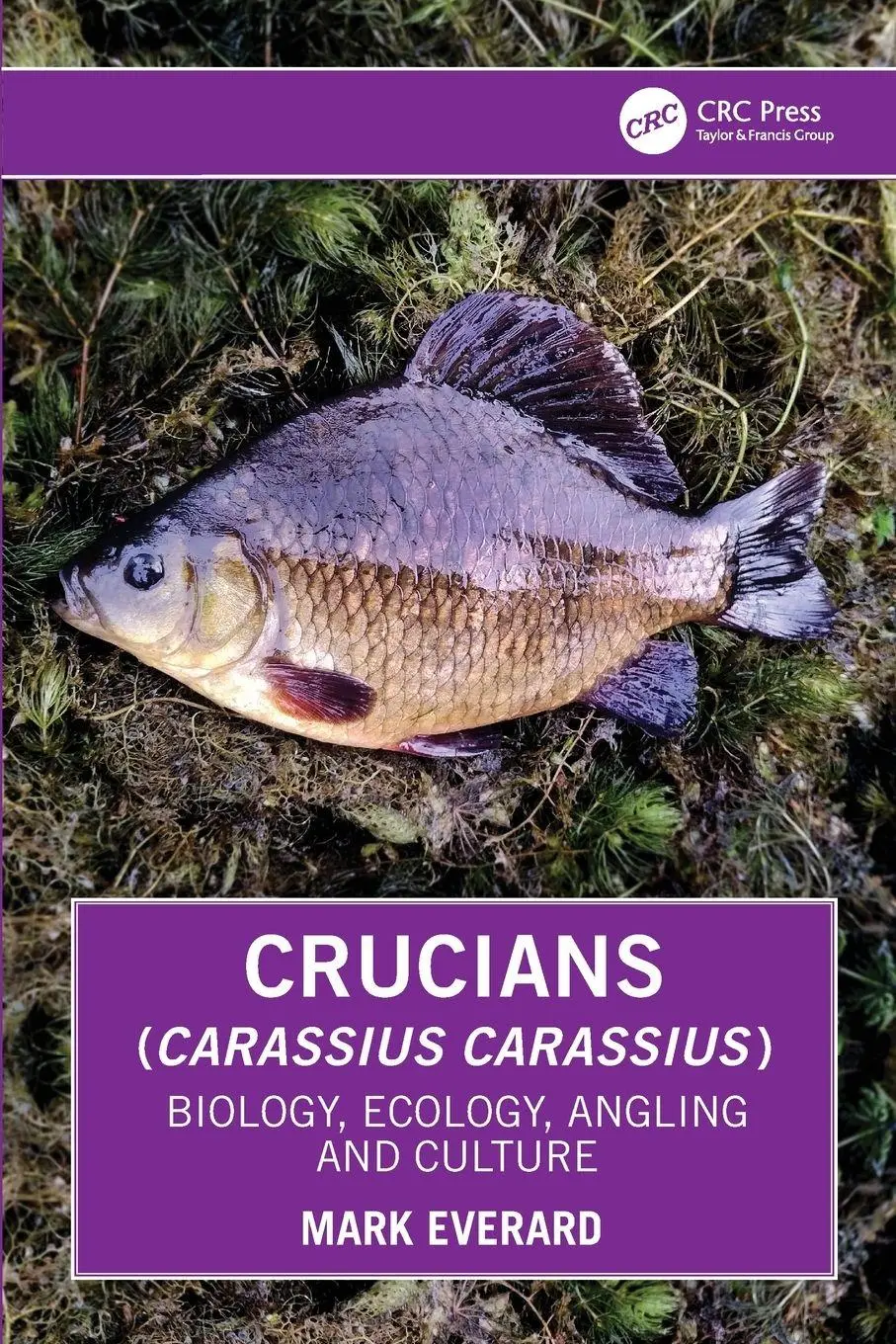 Cover: 9781032909745 | Crucians (Carassius carassius) | Biology, Ecology, Angling and Culture