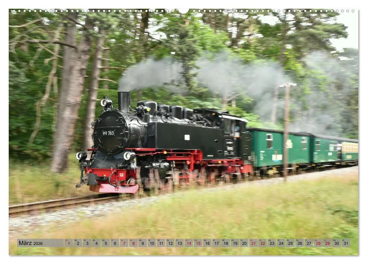 Bild: 9783457449745 | Mit Dampf durch die Natur Rügens (hochwertiger Premium Wandkalender...