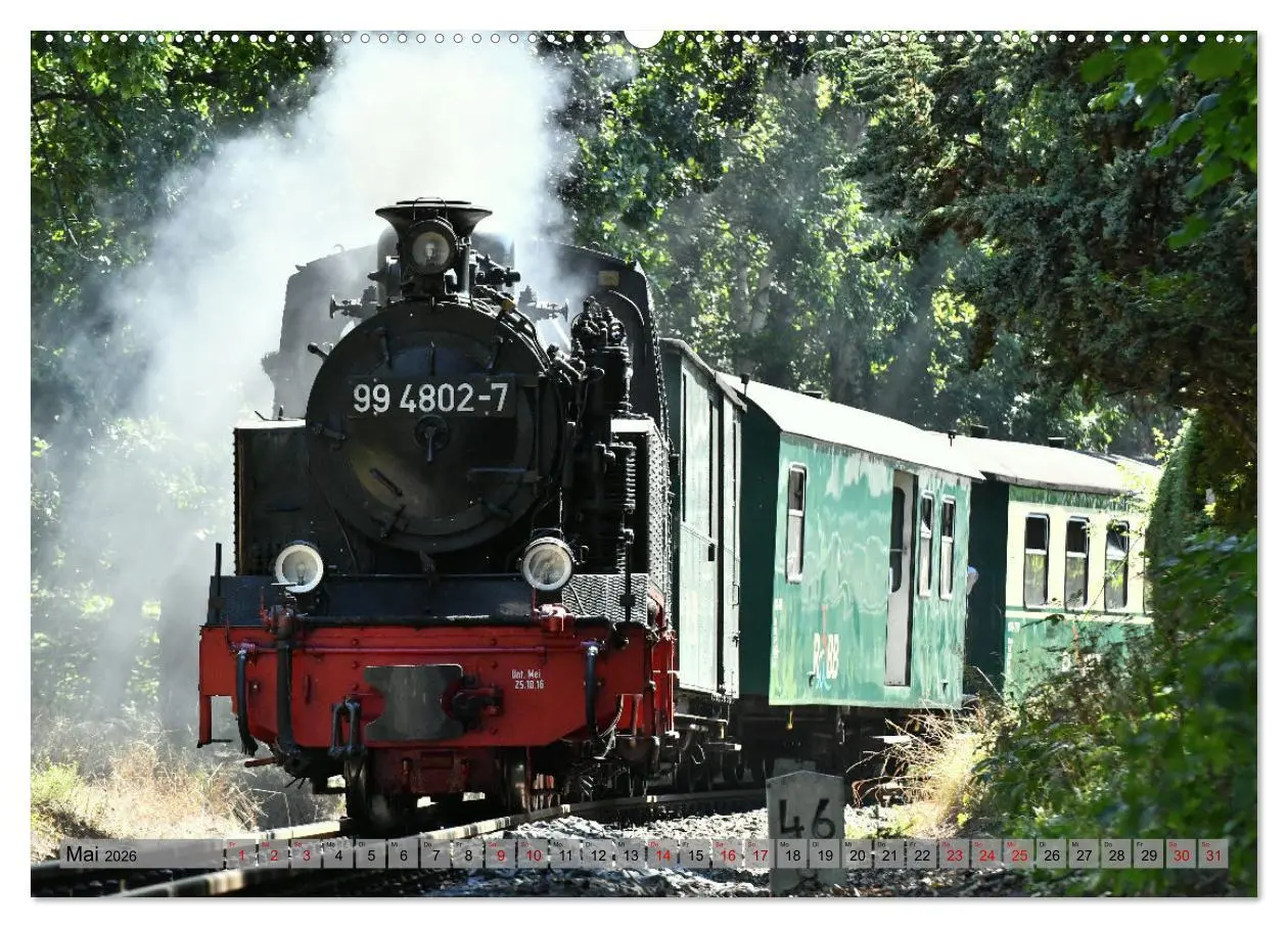 Bild: 9783457449745 | Mit Dampf durch die Natur Rügens (hochwertiger Premium Wandkalender...