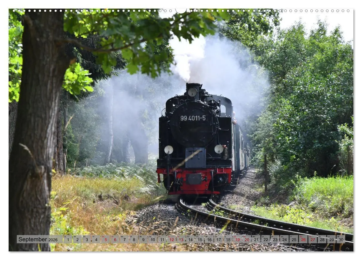 Bild: 9783457449745 | Mit Dampf durch die Natur Rügens (hochwertiger Premium Wandkalender...