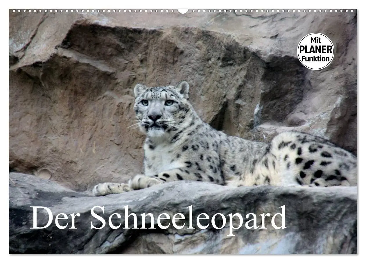 Cover: 9783457999745 | Der Schneeleopard (Wandkalender 2026 DIN A2 quer), CALVENDO...