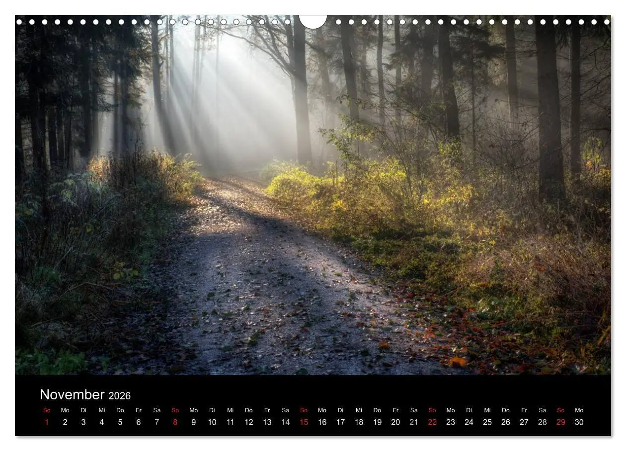 Bild: 9783516229745 | Märchenkulissen - Landschaften der Oberpfalz (Wandkalender 2026 DIN...