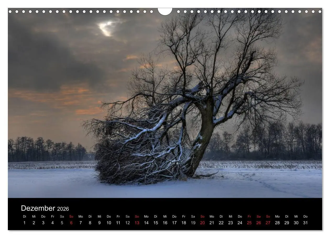 Bild: 9783516229745 | Märchenkulissen - Landschaften der Oberpfalz (Wandkalender 2026 DIN...