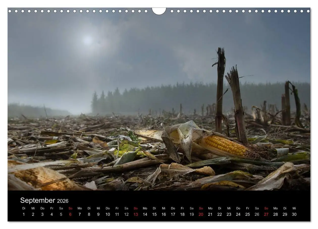 Bild: 9783516229745 | Märchenkulissen - Landschaften der Oberpfalz (Wandkalender 2026 DIN...