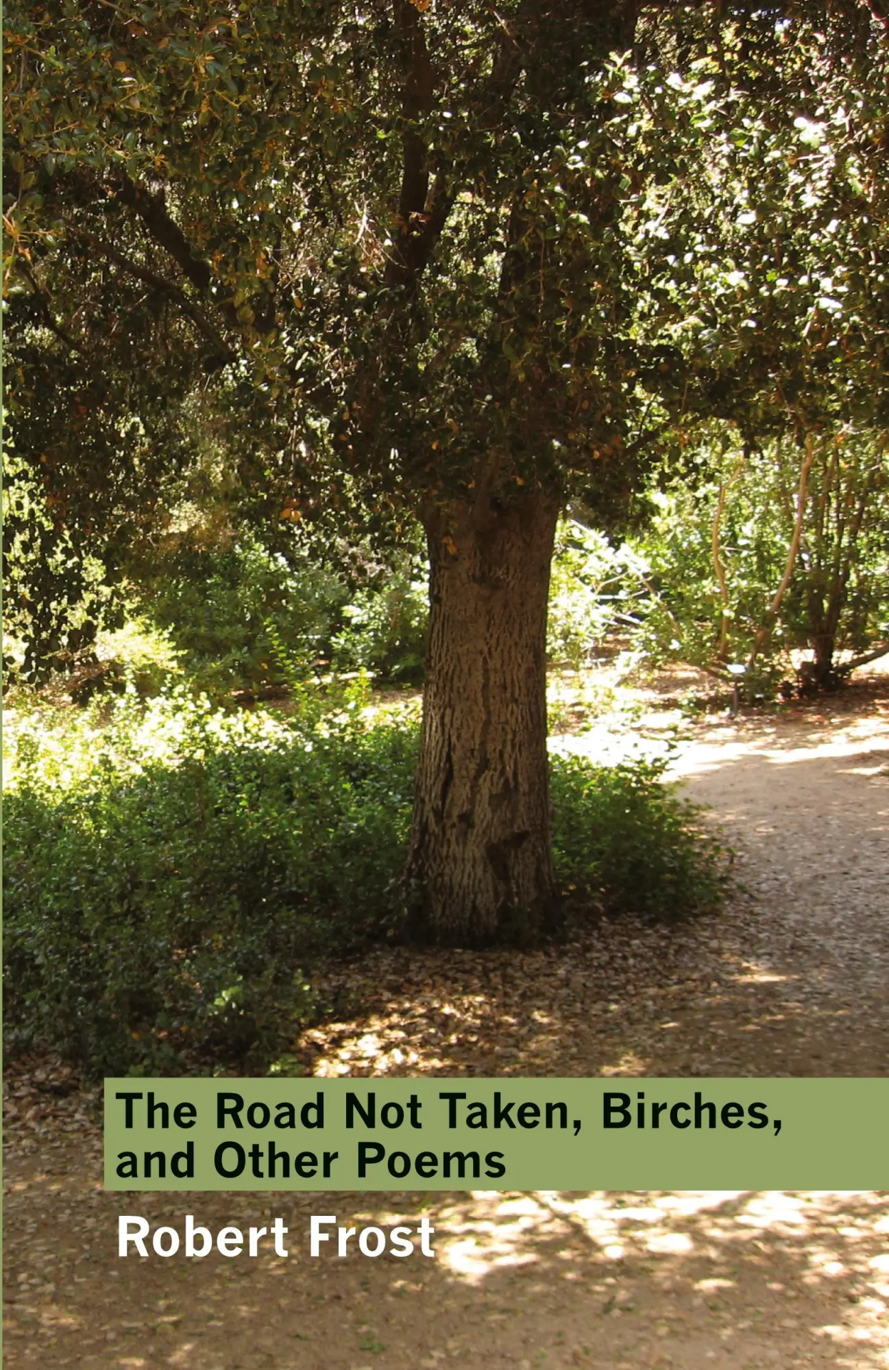 Cover: 9780982129845 | The Road Not Taken, Birches, and Other Poems | Robert Frost | Buch