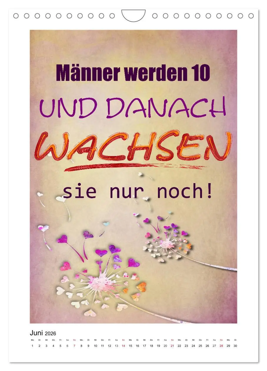 Bild: 9783516379945 | Humor und Ironie. Lustige Sprüche (Wandkalender 2026 DIN A4 hoch),...