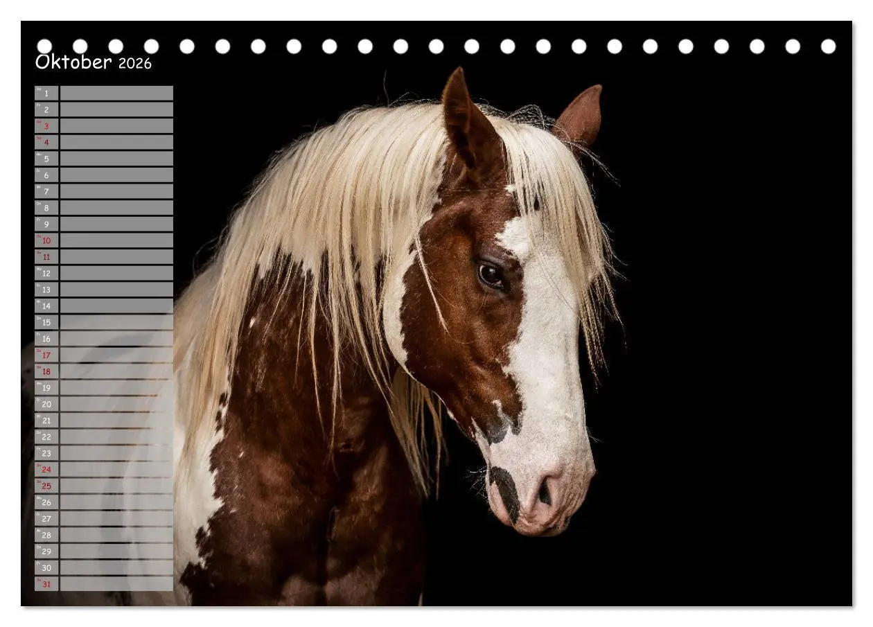Bild: 9783457850046 | Pferde - Spiegel deiner Seele (Tischkalender 2026 DIN A5 quer),...