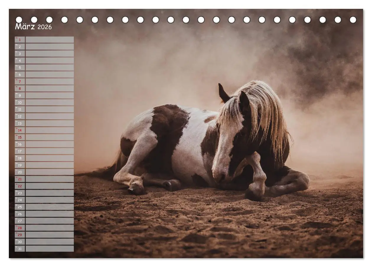 Bild: 9783457850046 | Pferde - Spiegel deiner Seele (Tischkalender 2026 DIN A5 quer),...