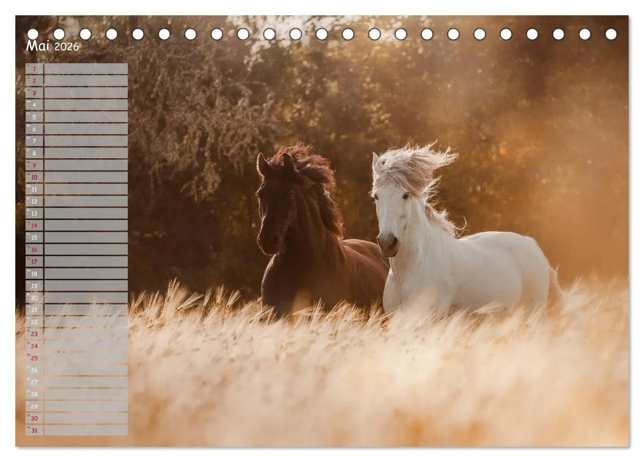 Bild: 9783457850046 | Pferde - Spiegel deiner Seele (Tischkalender 2026 DIN A5 quer),...