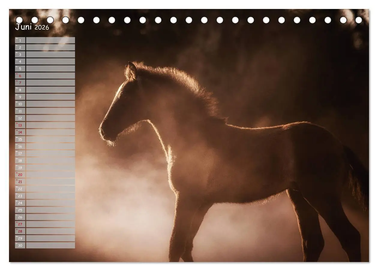 Bild: 9783457850046 | Pferde - Spiegel deiner Seele (Tischkalender 2026 DIN A5 quer),...
