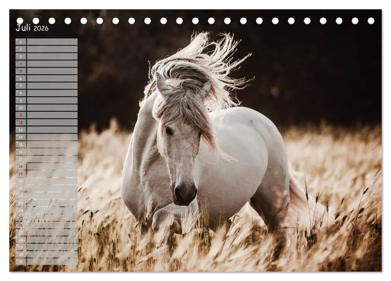 Bild: 9783457850046 | Pferde - Spiegel deiner Seele (Tischkalender 2026 DIN A5 quer),...