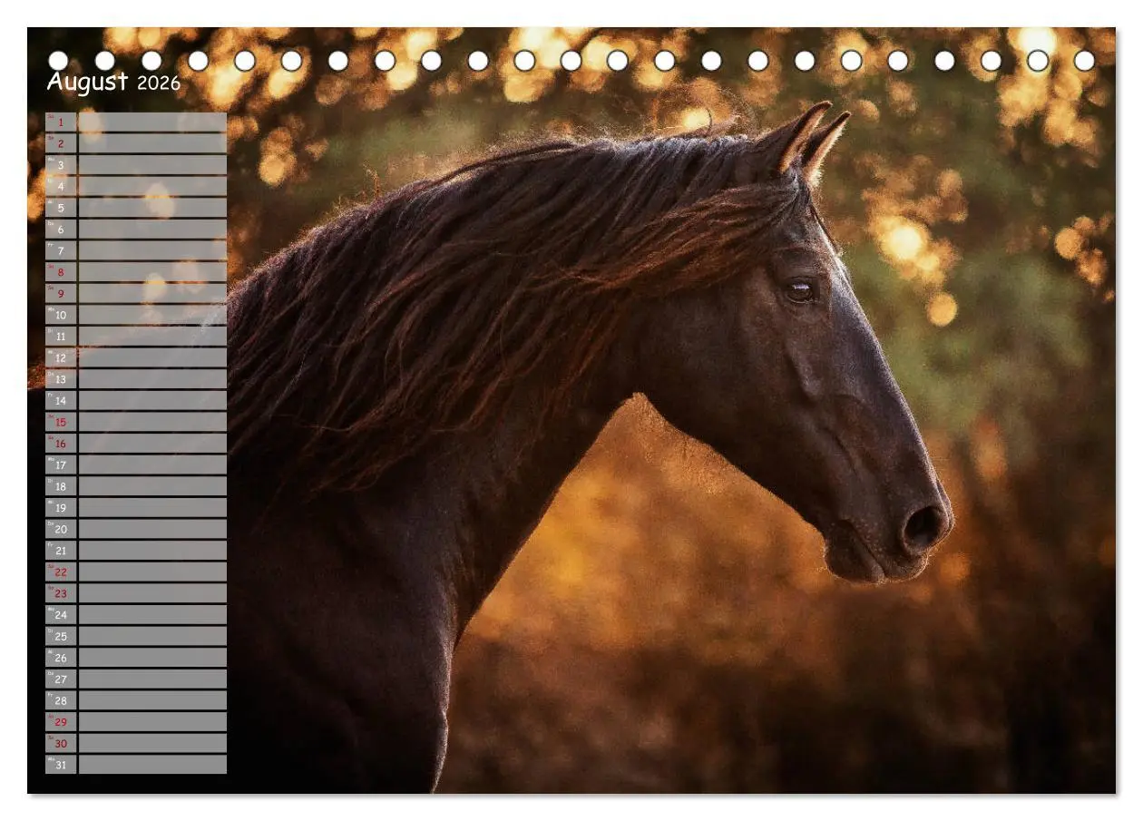 Bild: 9783457850046 | Pferde - Spiegel deiner Seele (Tischkalender 2026 DIN A5 quer),...