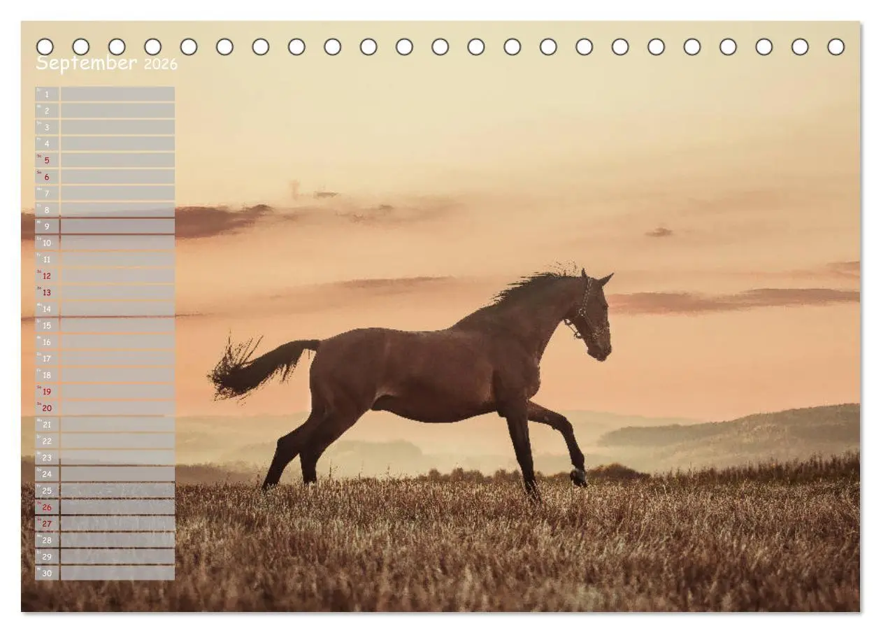 Bild: 9783457850046 | Pferde - Spiegel deiner Seele (Tischkalender 2026 DIN A5 quer),...