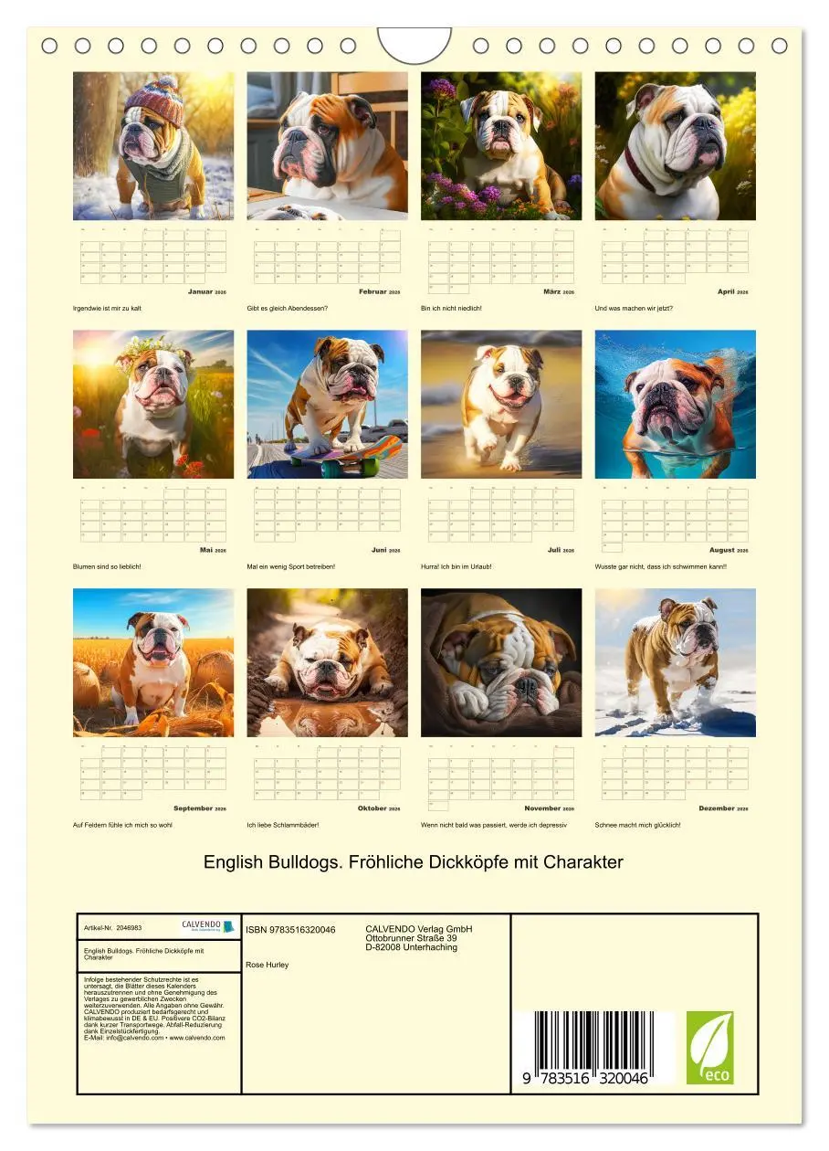 Bild: 9783516320046 | English Bulldogs. Fröhliche Dickköpfe mit Charakter (Wandkalender...