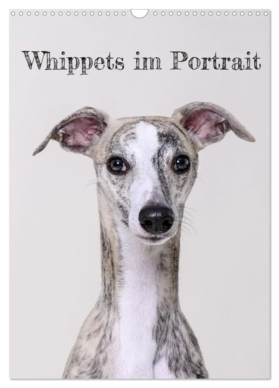 Cover: 9783569270046 | Whippets im Portrait (Wandkalender 2027 DIN A3 hoch), CALVENDO...