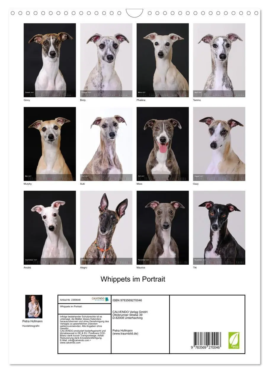 Bild: 9783569270046 | Whippets im Portrait (Wandkalender 2027 DIN A3 hoch), CALVENDO...