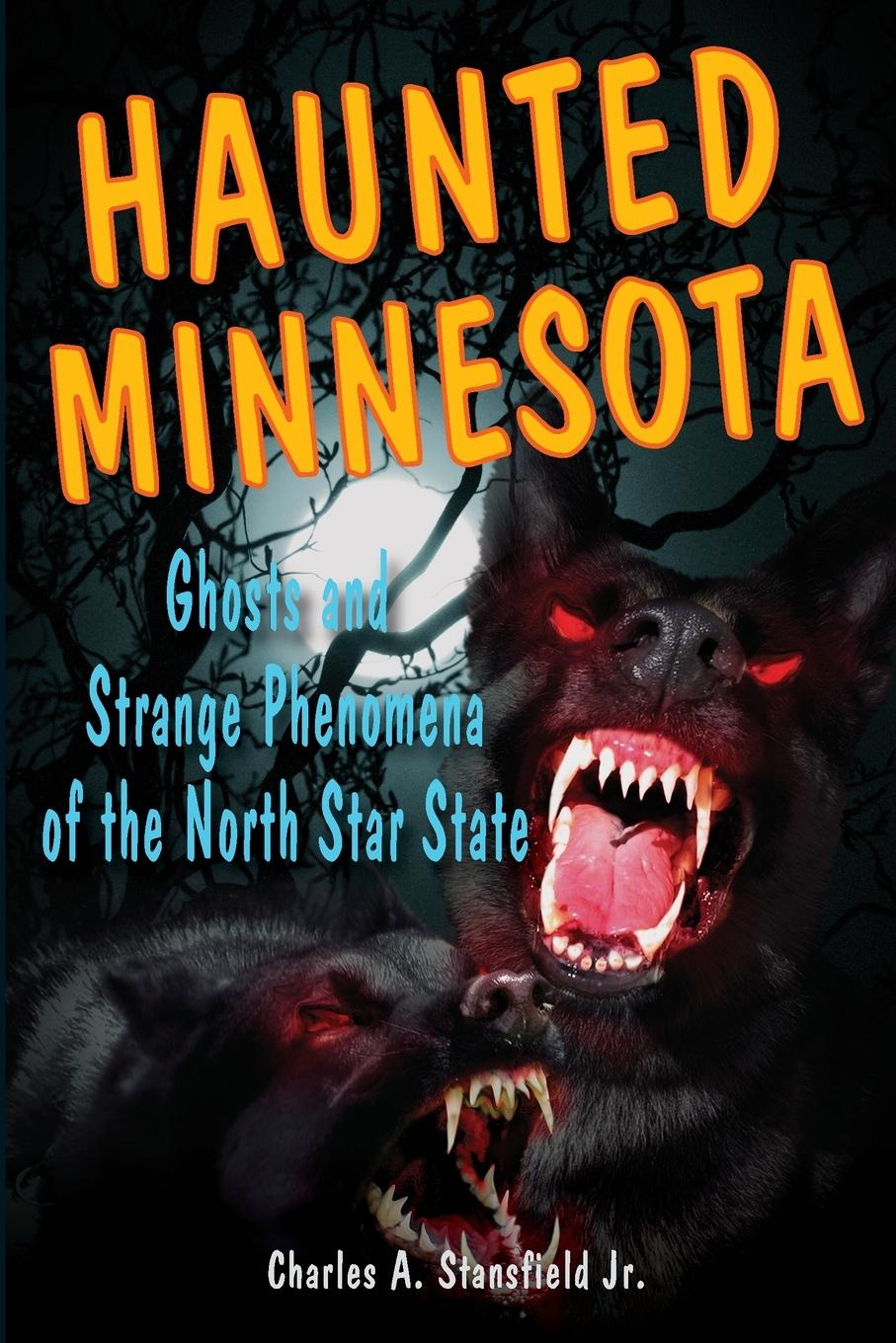 Cover: 9780811700146 | Haunted Minnesota | Charles A Stansfield | Taschenbuch | Englisch