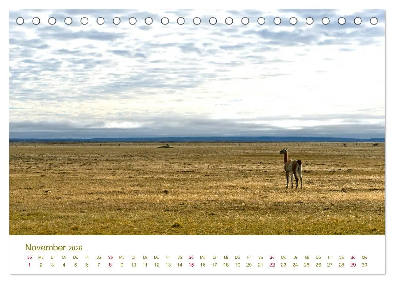 Bild: 9783457840146 | Weites Argentinien (Tischkalender 2026 DIN A5 quer), CALVENDO...