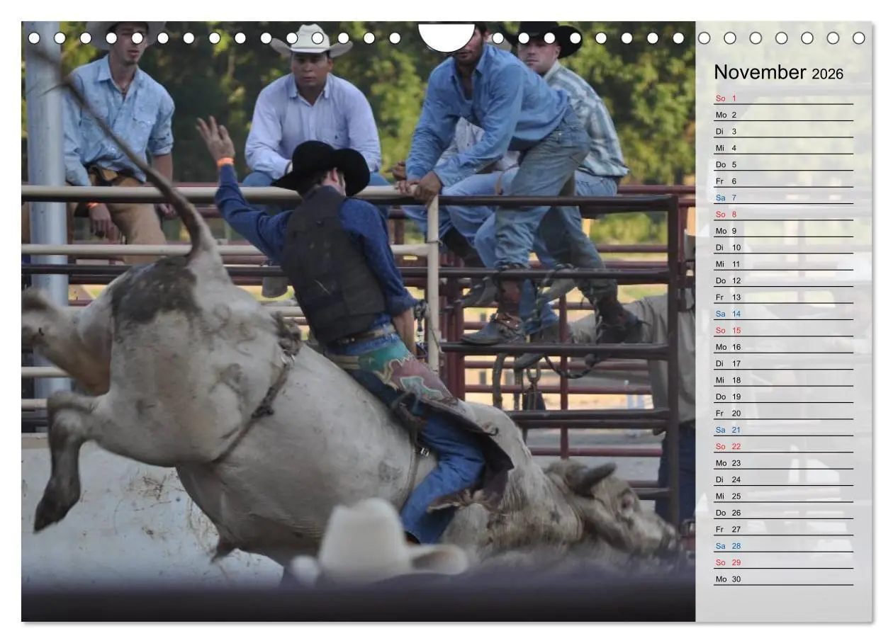 Bild: 9783457910146 | Faszination Rodeo (Wandkalender 2026 DIN A4 quer), CALVENDO...