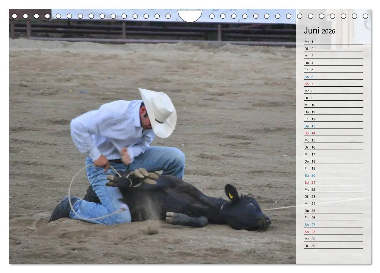 Bild: 9783457910146 | Faszination Rodeo (Wandkalender 2026 DIN A4 quer), CALVENDO...
