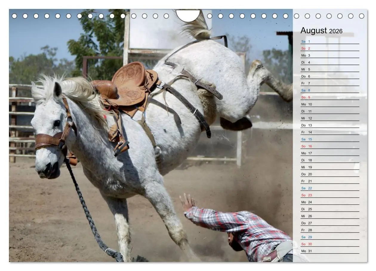 Bild: 9783457910146 | Faszination Rodeo (Wandkalender 2026 DIN A4 quer), CALVENDO...
