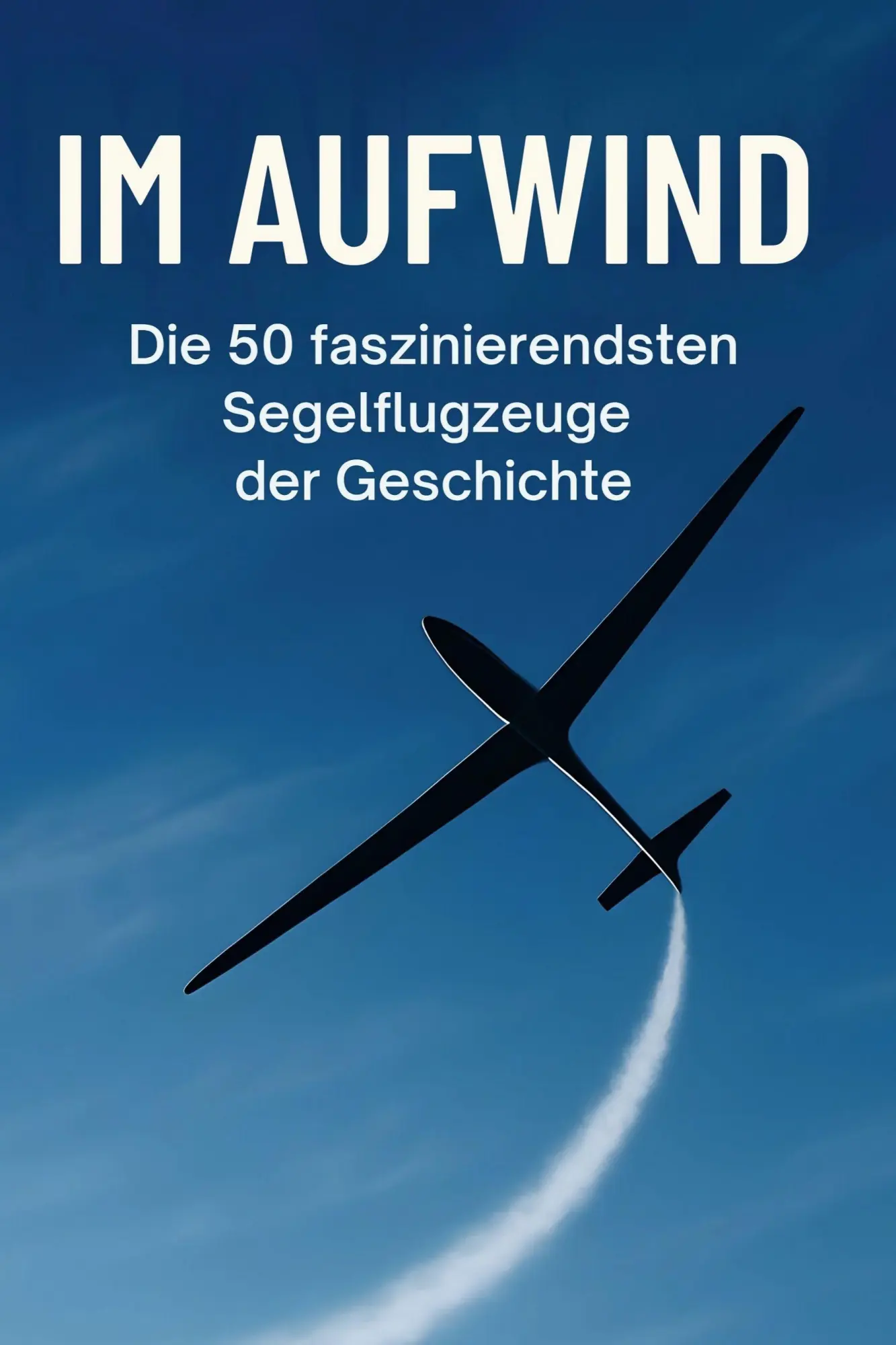 Cover: 9783695370146 | Im Aufwind | Die 50 faszinierendsten Segelflugzeuge der Geschichte