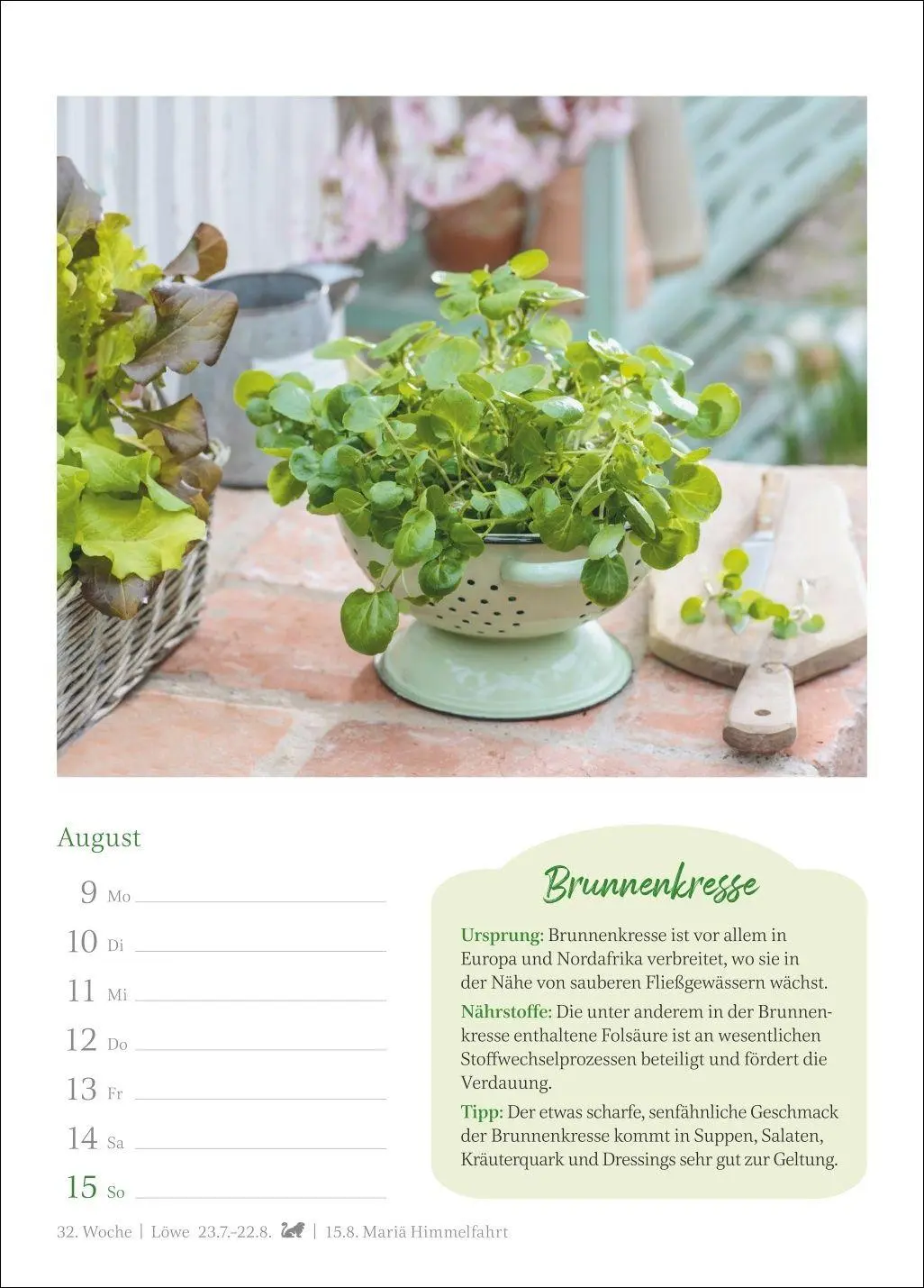 Bild: 9783840040146 | Der kleine Küchenkalender Wochenkalender 2027 - Wochenkalender mit...