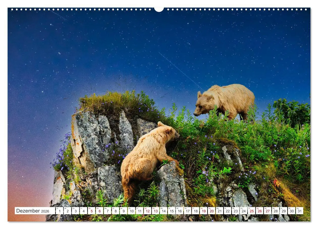 Bild: 9783457510346 | KANADA - Die Bären der Rocky Mountains (hochwertiger Premium...
