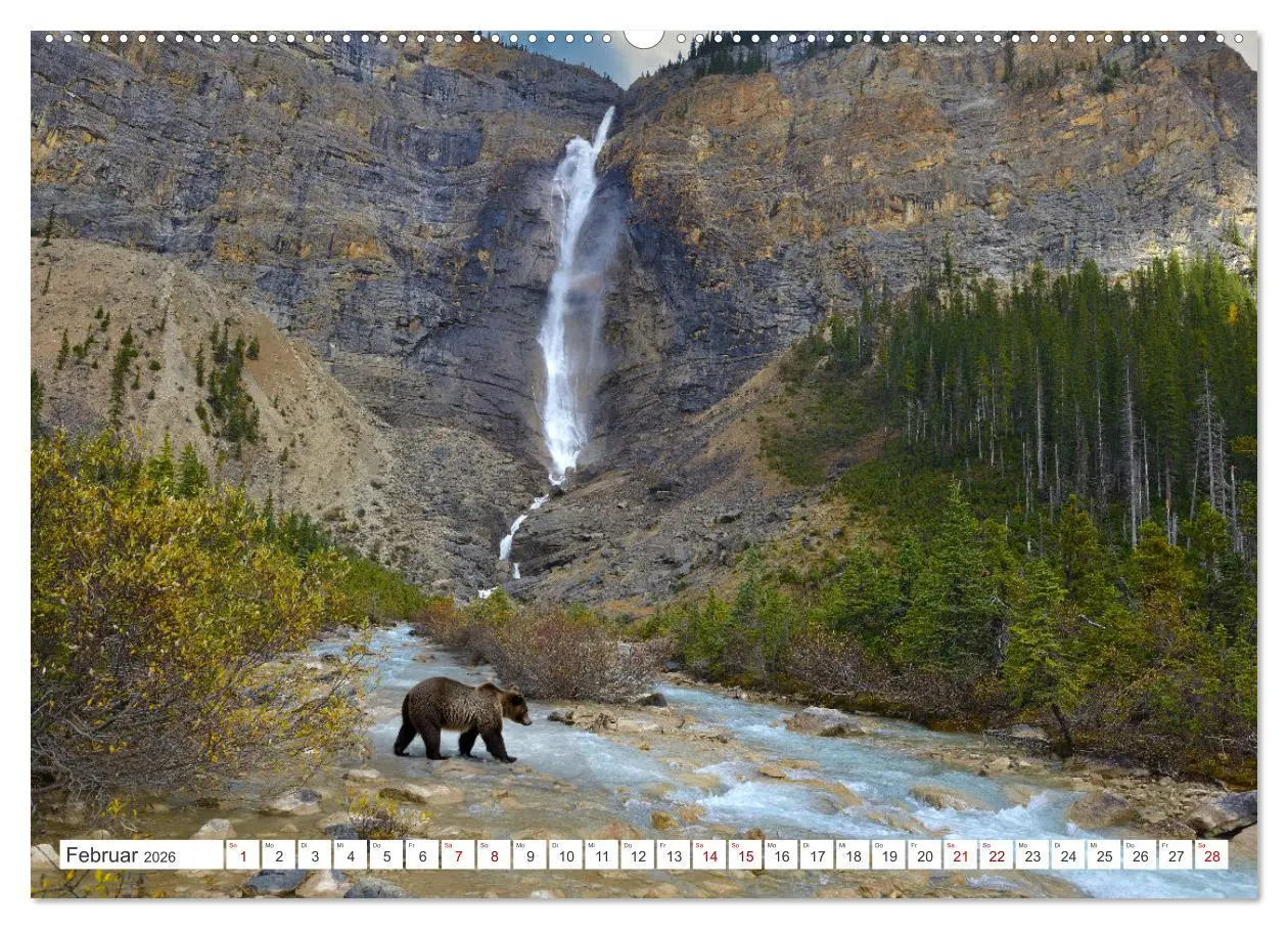 Bild: 9783457510346 | KANADA - Die Bären der Rocky Mountains (hochwertiger Premium...