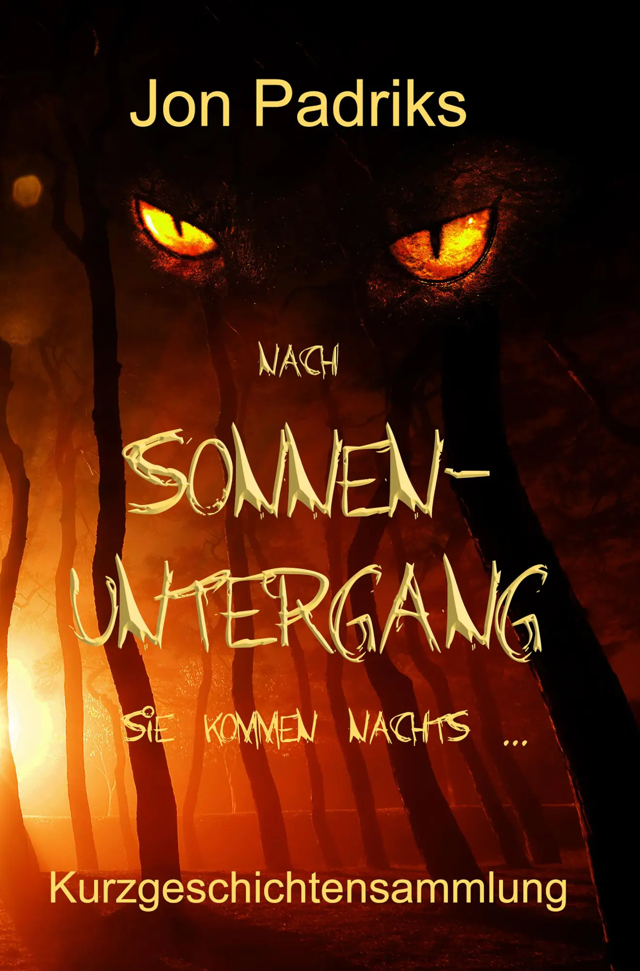 Cover: 9783985280346 | Nach Sonnenuntergang | Sie kommen nachts ... | Jon Padriks | Buch