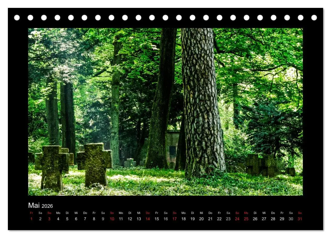 Bild: 9783516070446 | Heidelberg Views - Heidelberger Ansichten (Tischkalender 2026 DIN...