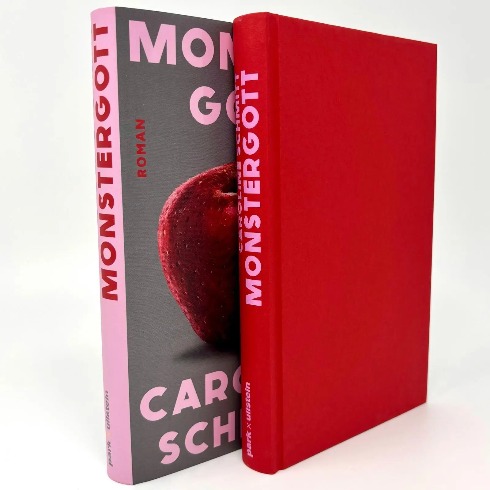 Bild: 9783988160546 | Monstergott | Caroline Schmitt | Buch | 272 S. | Deutsch | 2025