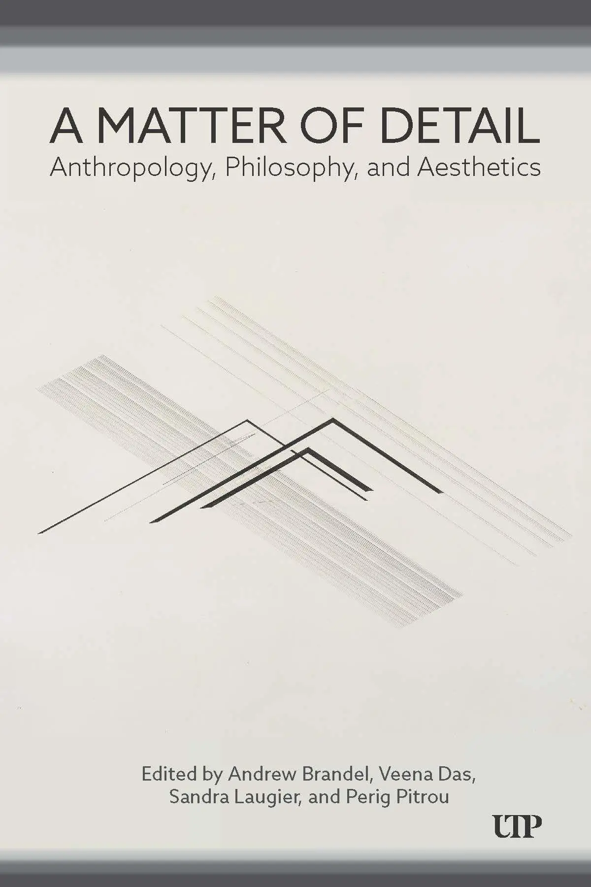 Cover: 9781487550646 | A Matter of Detail | Anthropology, Philosophy, and Aesthetics | Buch