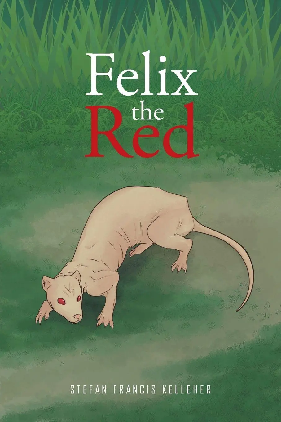 Cover: 9781637100646 | Felix the Red | Stefan Francis Kelleher | Taschenbuch | Englisch