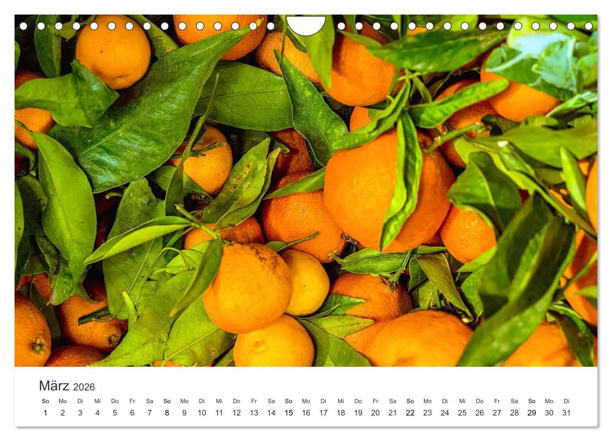 Bild: 9783457720646 | Das farbenfrohe Marokko (Wandkalender 2026 DIN A4 quer), CALVENDO...