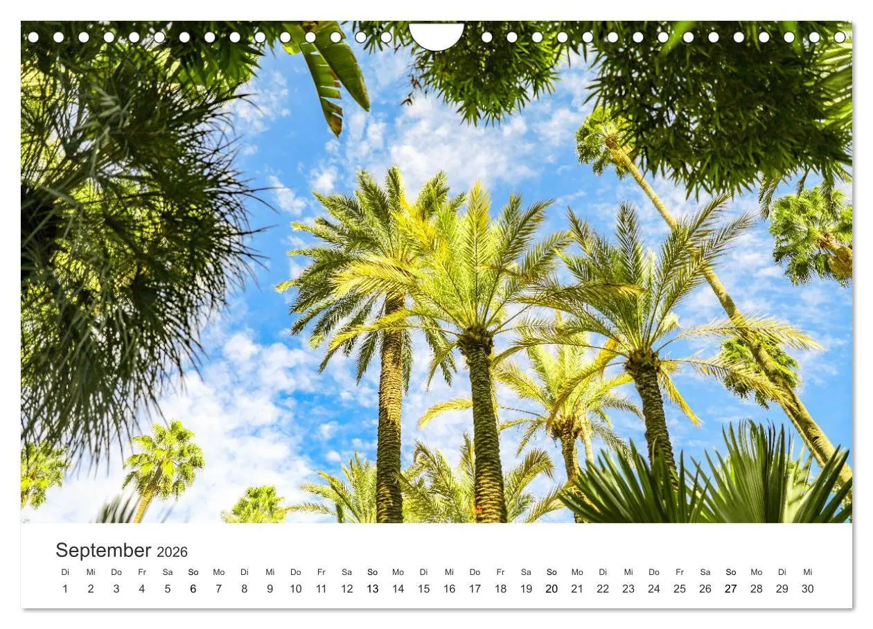 Bild: 9783457720646 | Das farbenfrohe Marokko (Wandkalender 2026 DIN A4 quer), CALVENDO...